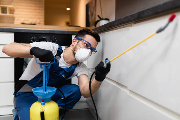 Best Emergency Pest Control  in Peoria, AZ