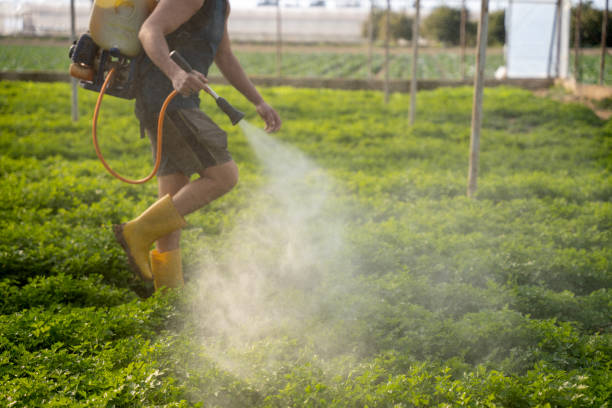 Best Residential Pest Control  in Peoria, AZ