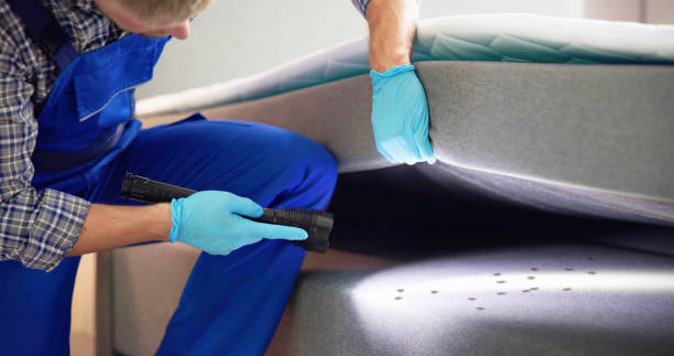Best Commercial Pest Control Services  in Peoria, AZ