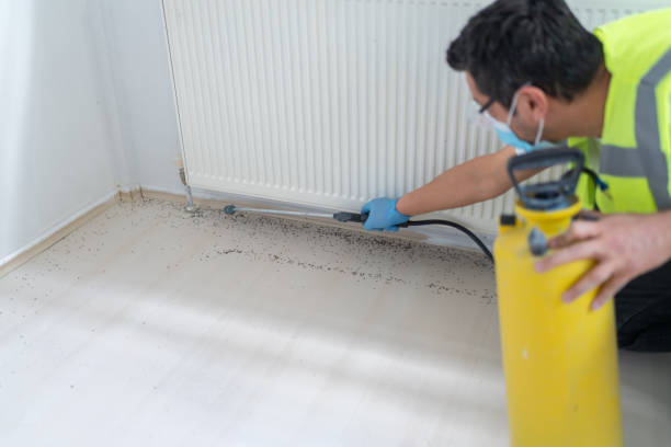 Best Pest Removal Services  in Peoria, AZ